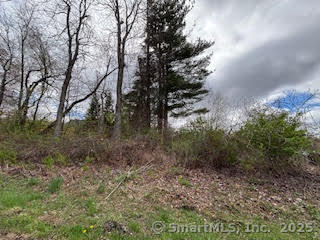 115 McBride Road Litchfield, CT 06759 - Photo 20 of 28 a view of a yard