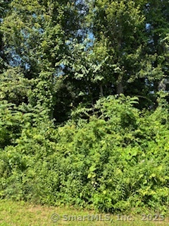 115 McBride Road Litchfield, CT 06759 - Photo 22 of 28 a view of a lush green forest
