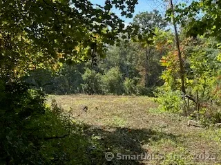 a view of a dry yard