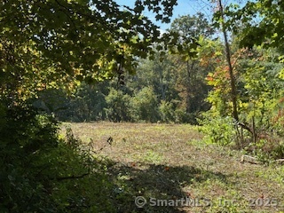 115 McBride Road Litchfield, CT 06759 - Photo 24 of 28 a view of a yard with a tree