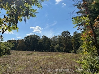 115 McBride Road Litchfield, CT 06759 - Photo 25 of 28 a view of a yard