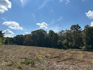 a view of a flower in a garden