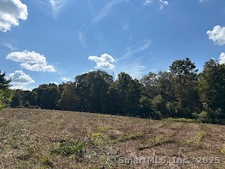 115 McBride Road Litchfield, CT 06759 - Photo 26 of 28 a view of a dry yard