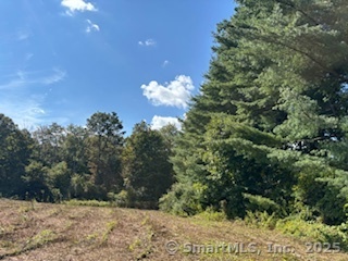 115 McBride Road Litchfield, CT 06759 - Photo 27 of 28 a view of a bunch of trees