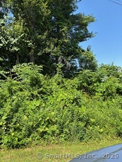 115 McBride Road Litchfield, CT 06759 - Photo 4 of 28 a view of a garden