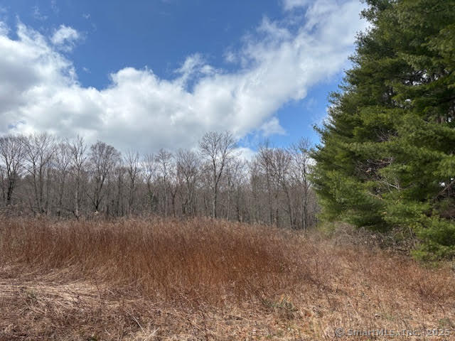 115 McBride Road Litchfield, CT 06759 - Photo 5 of 28 a view of a yard