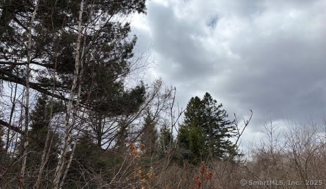115 McBride Road Litchfield, CT 06759 - Photo 8 of 28 a view of a forest