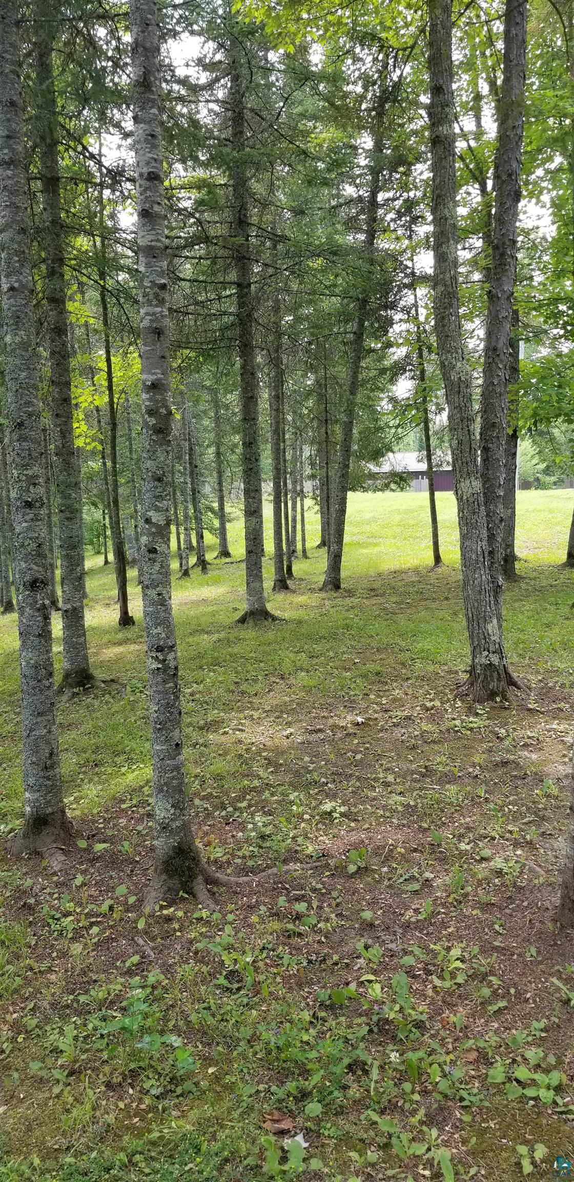 9046 Eagles Club Road Alborn, MN 55702 - Photo 26 of 28
