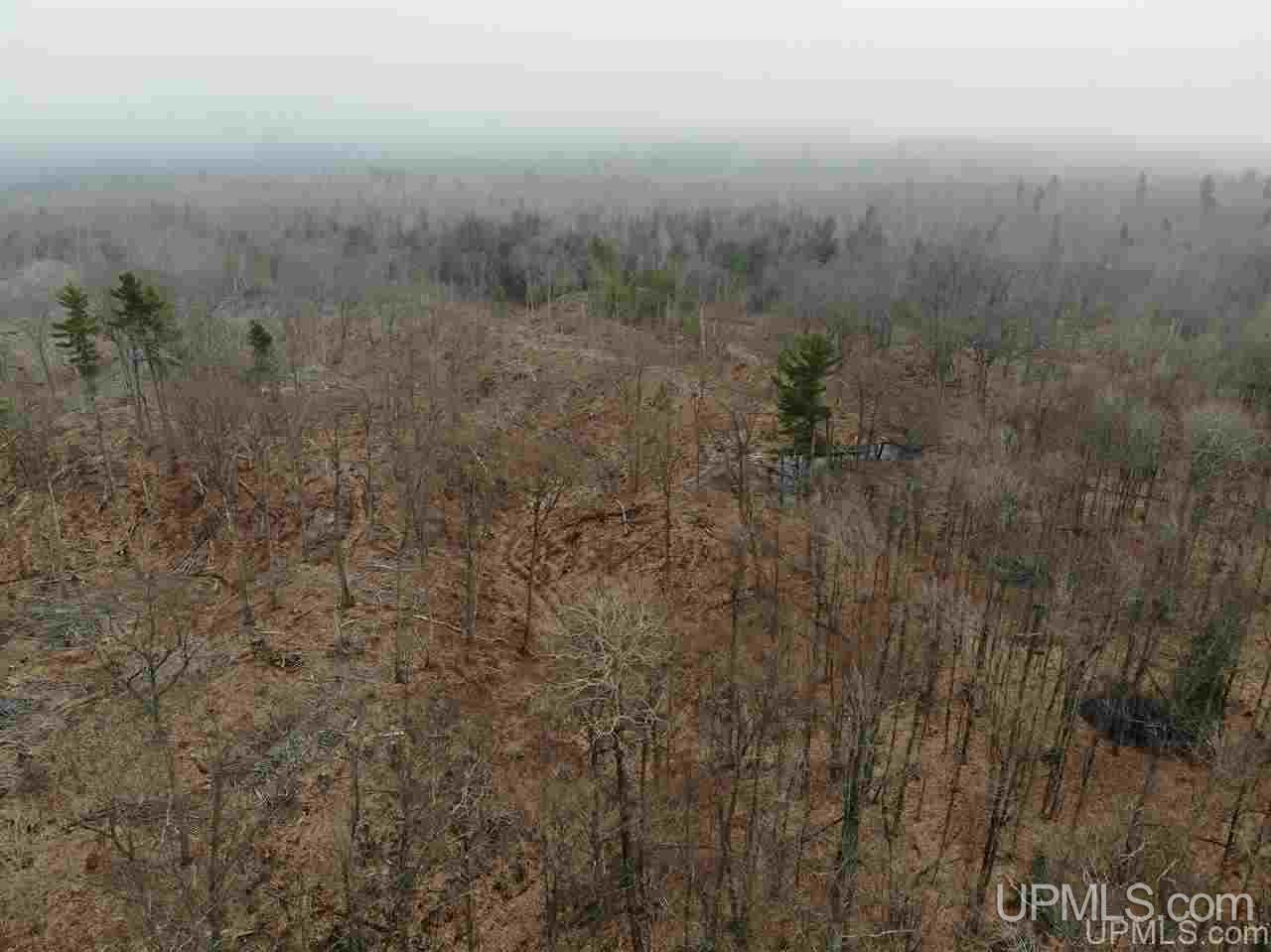Tbd Plains Cutoff Road Baraga, MI 49908 - Photo 33 of 49