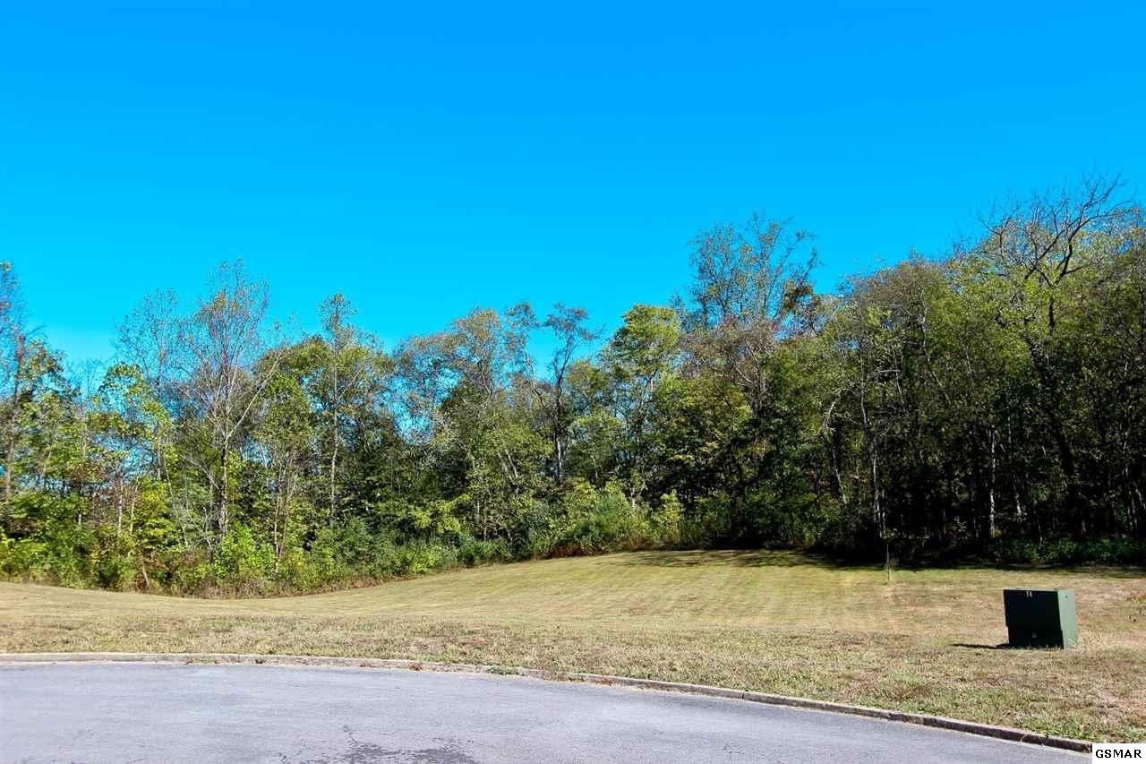 21 Woodvale Road Newport, TN 37821 - Photo 4 of 16 Gallery Image 4