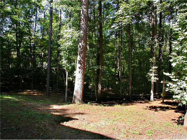23 Thorne Ridge Drive Durham, NC 27713 - Photo 23 of 25 Back Yard