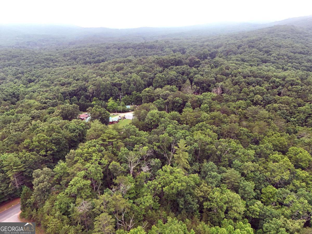 Lot 3 Cook Henry Road Blairsville, GA 30512 - Photo 12 of 18