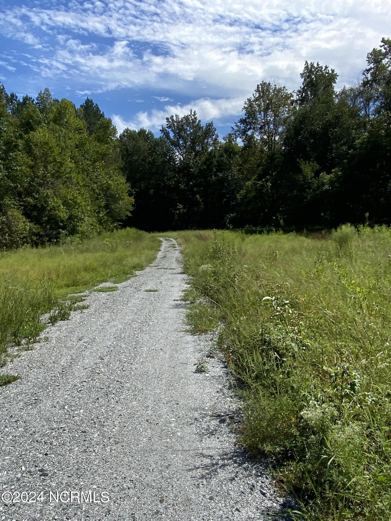 Tbd Coxe Road Tryon, NC 28782 - Photo 11 of 67 11