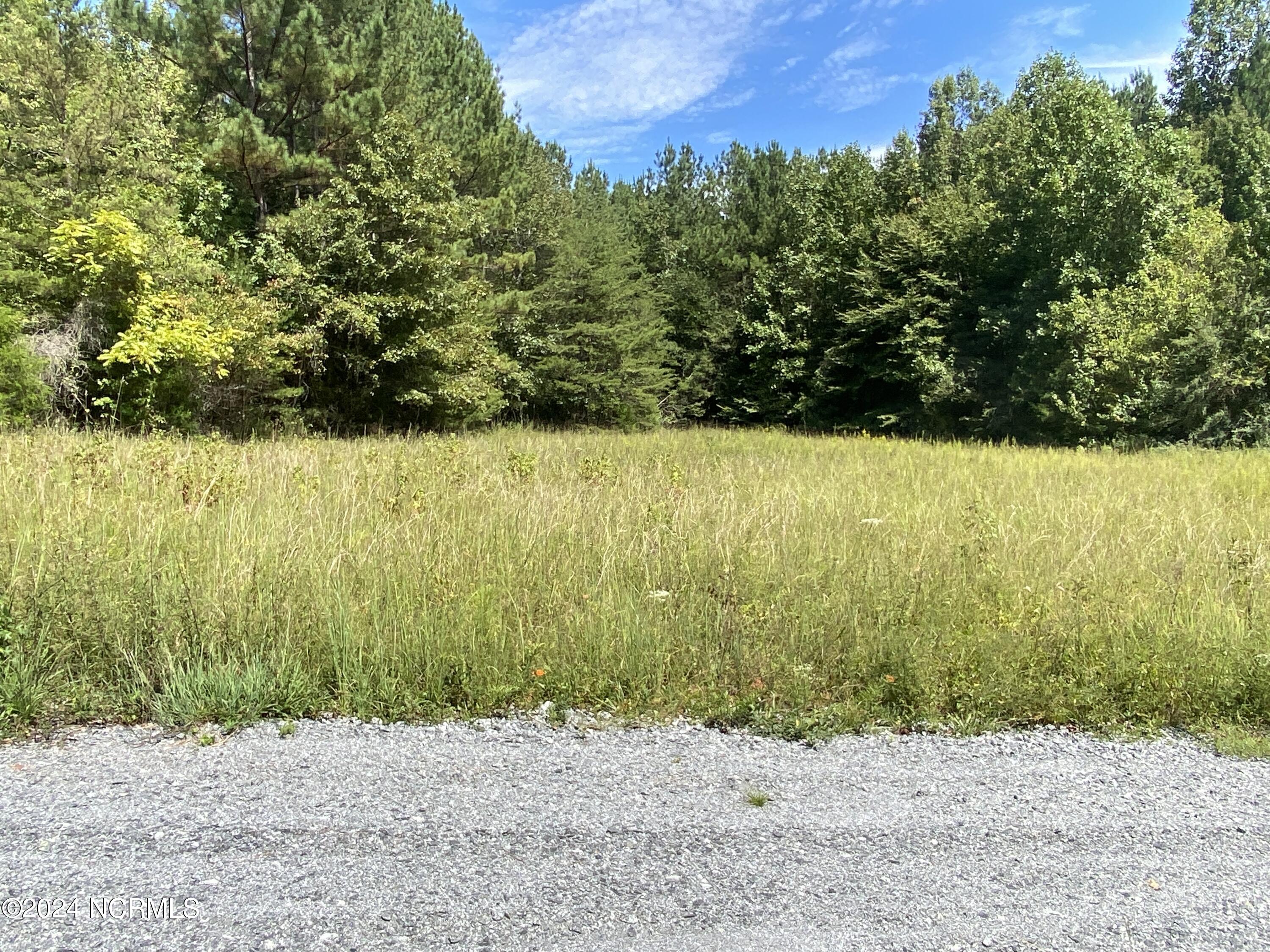 Tbd Coxe Road Tryon, NC 28782 - Photo 12 of 67 12