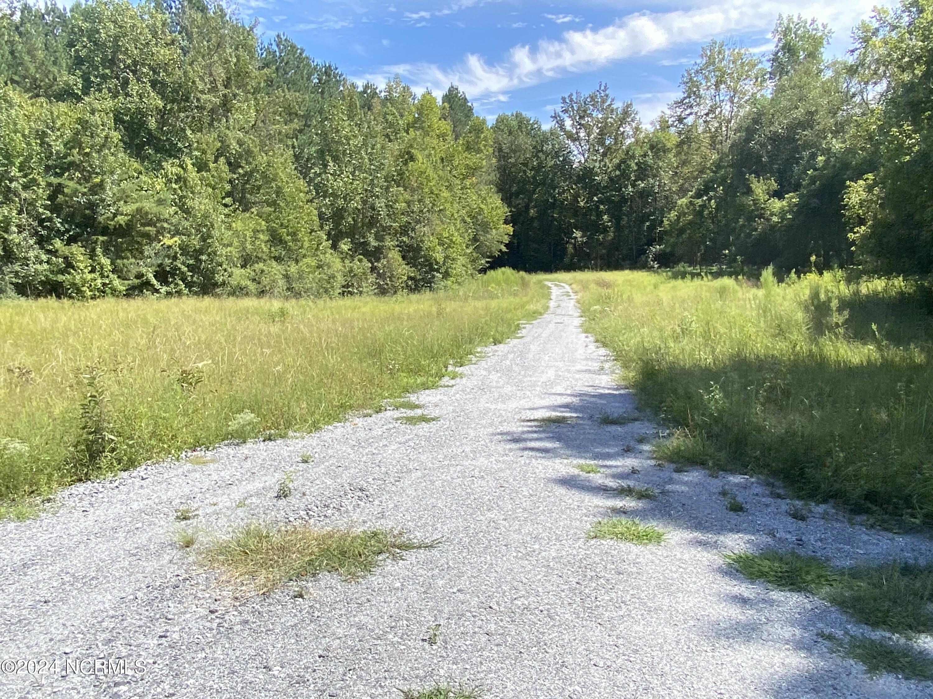 Tbd Coxe Road Tryon, NC 28782 - Photo 13 of 67 13