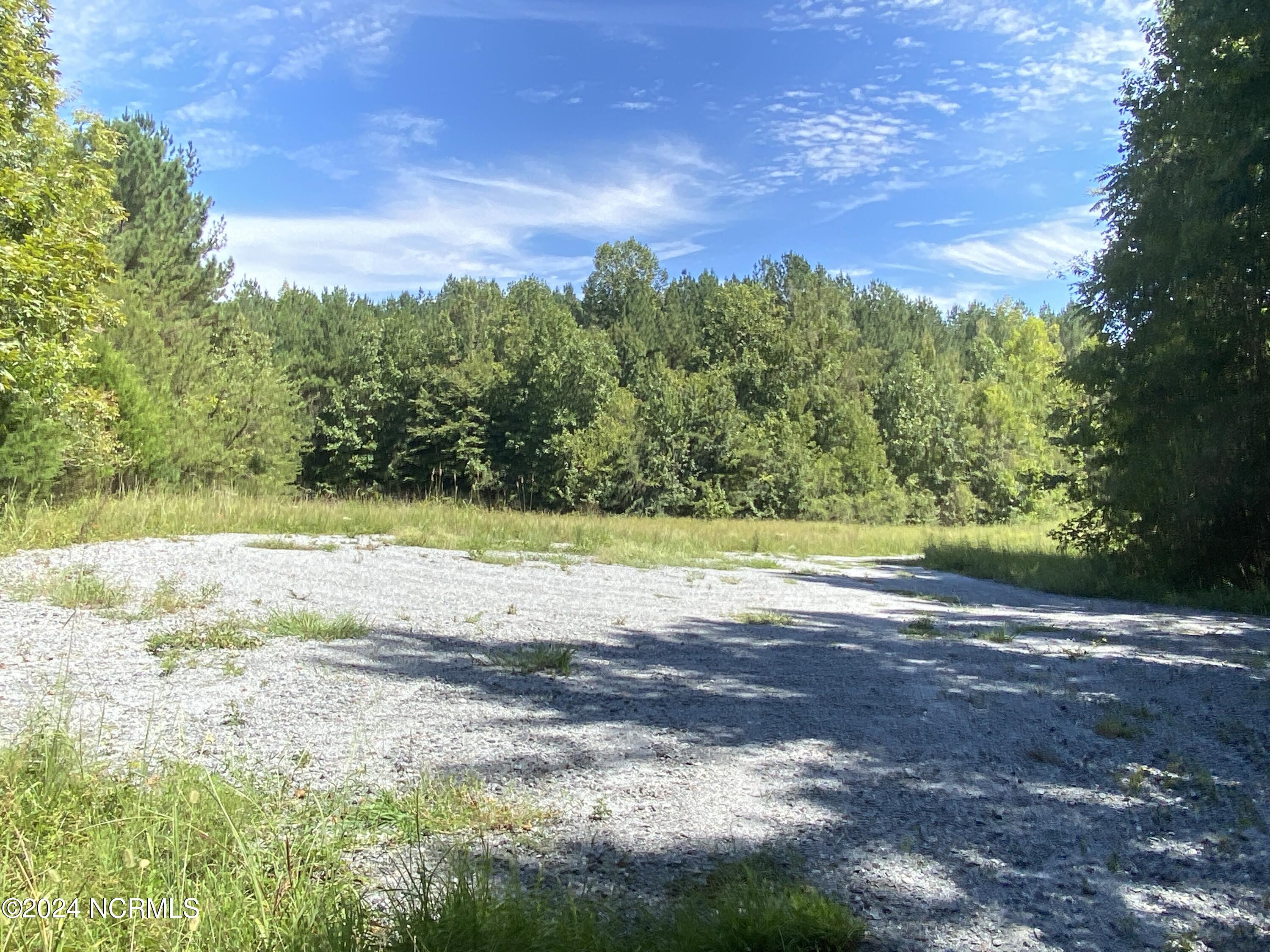 Tbd Coxe Road Tryon, NC 28782 - Photo 14 of 67 14