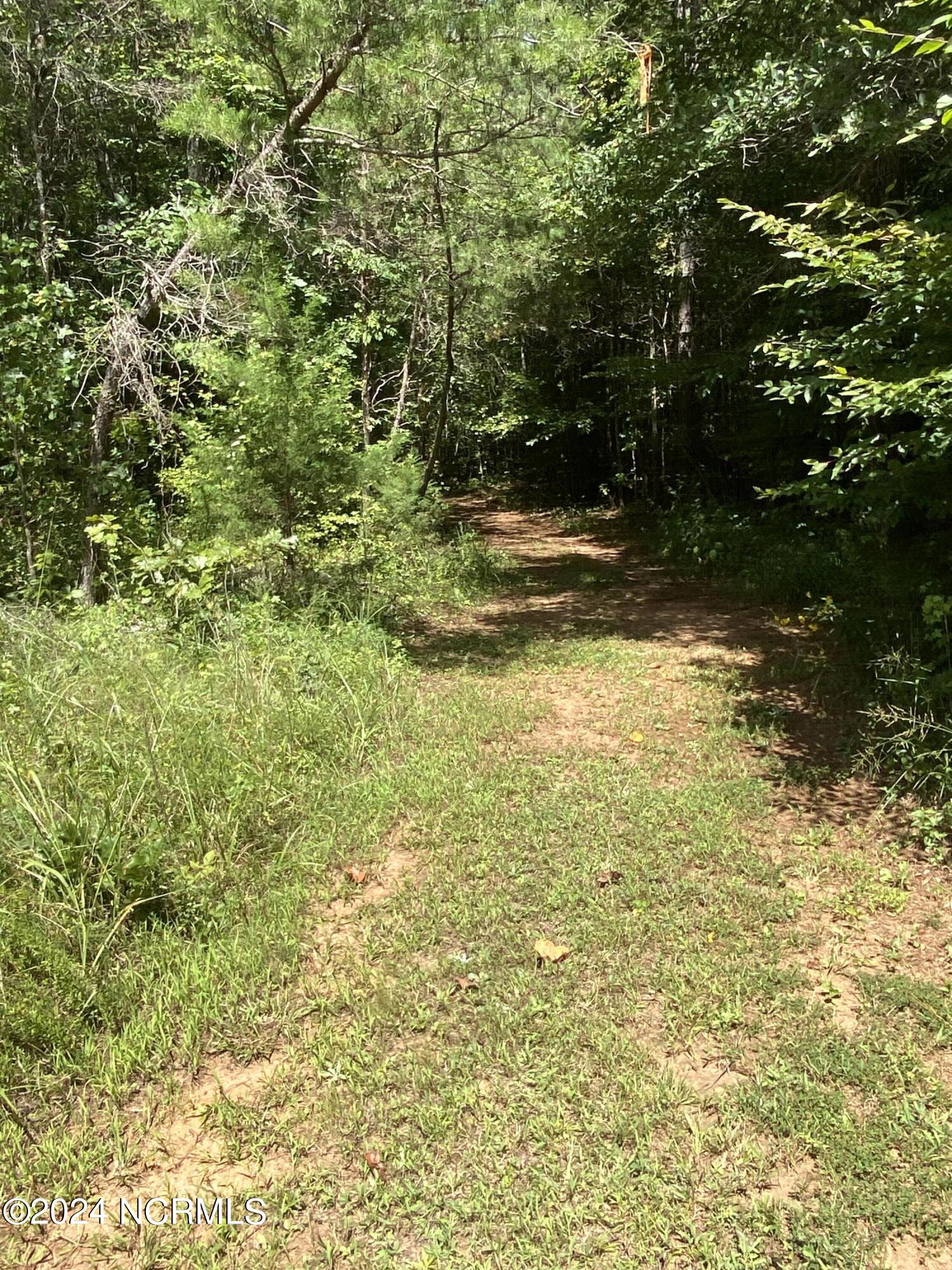 Tbd Coxe Road Tryon, NC 28782 - Photo 16 of 67 16