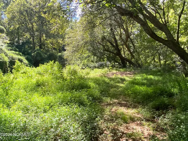 $497,000 | Tbd Coxe Road, Tryon, NC 28782