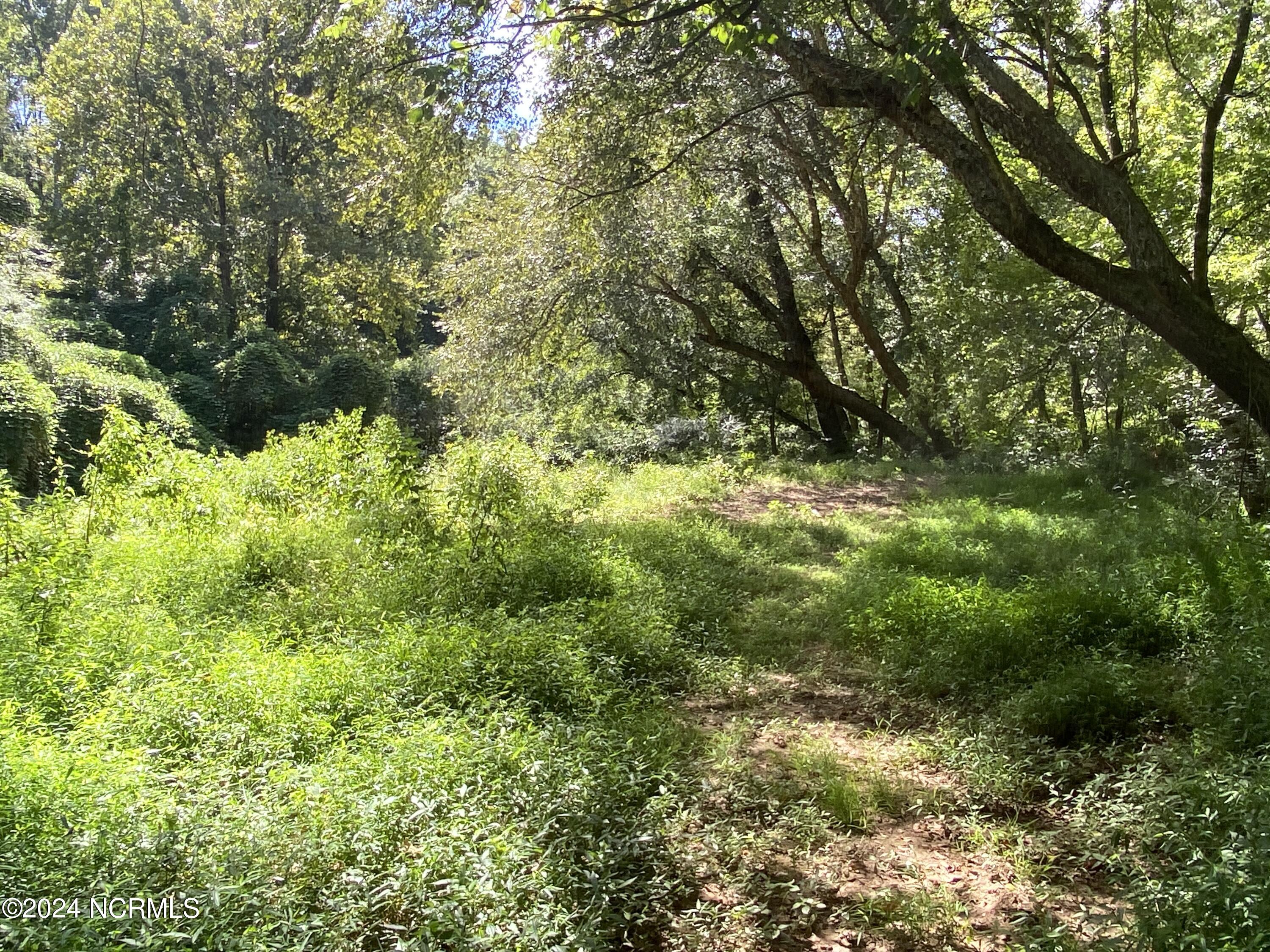 Tbd Coxe Road Tryon, NC 28782 - Photo 17 of 67 17