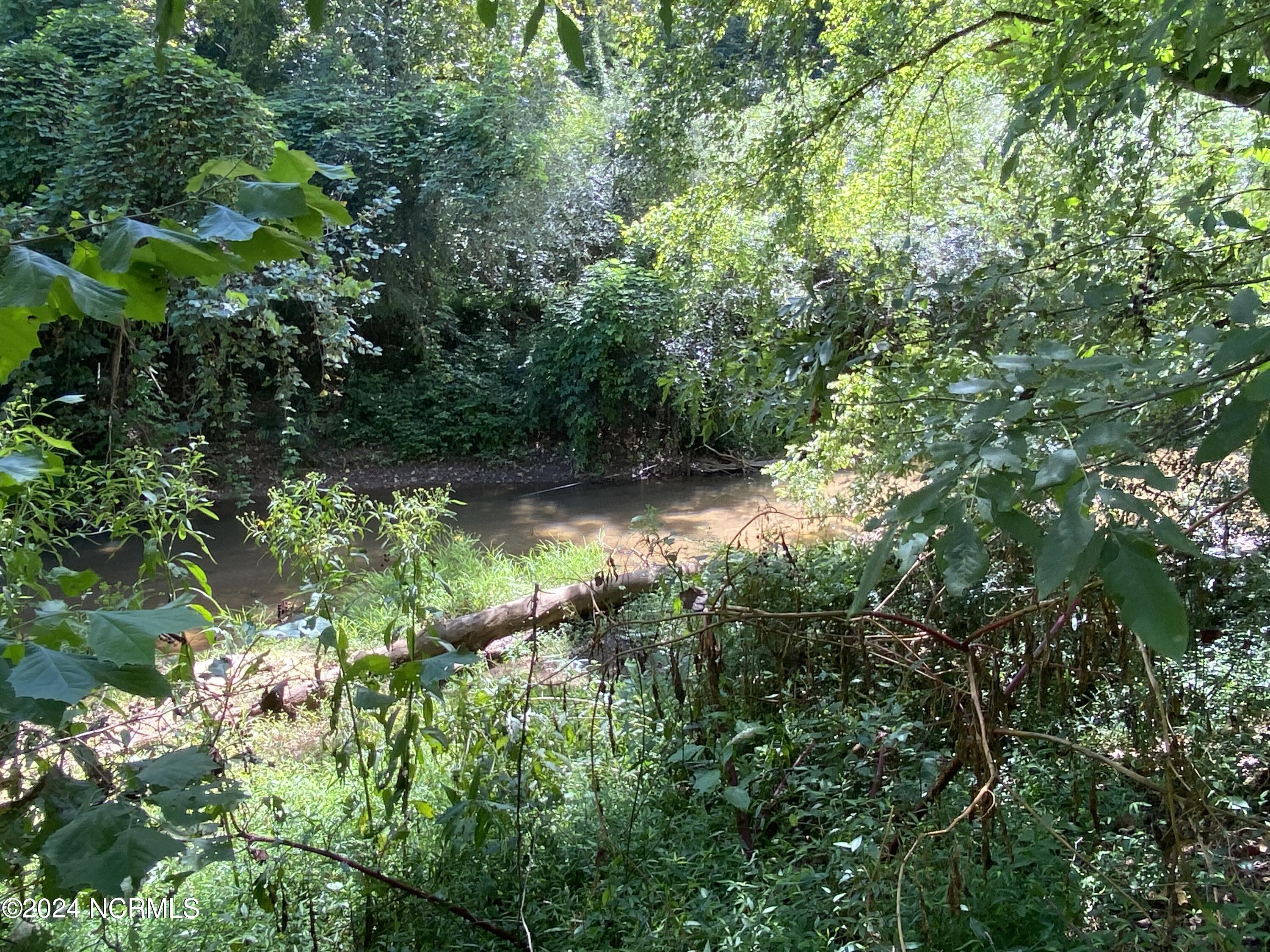 Tbd Coxe Road Tryon, NC 28782 - Photo 18 of 67 18