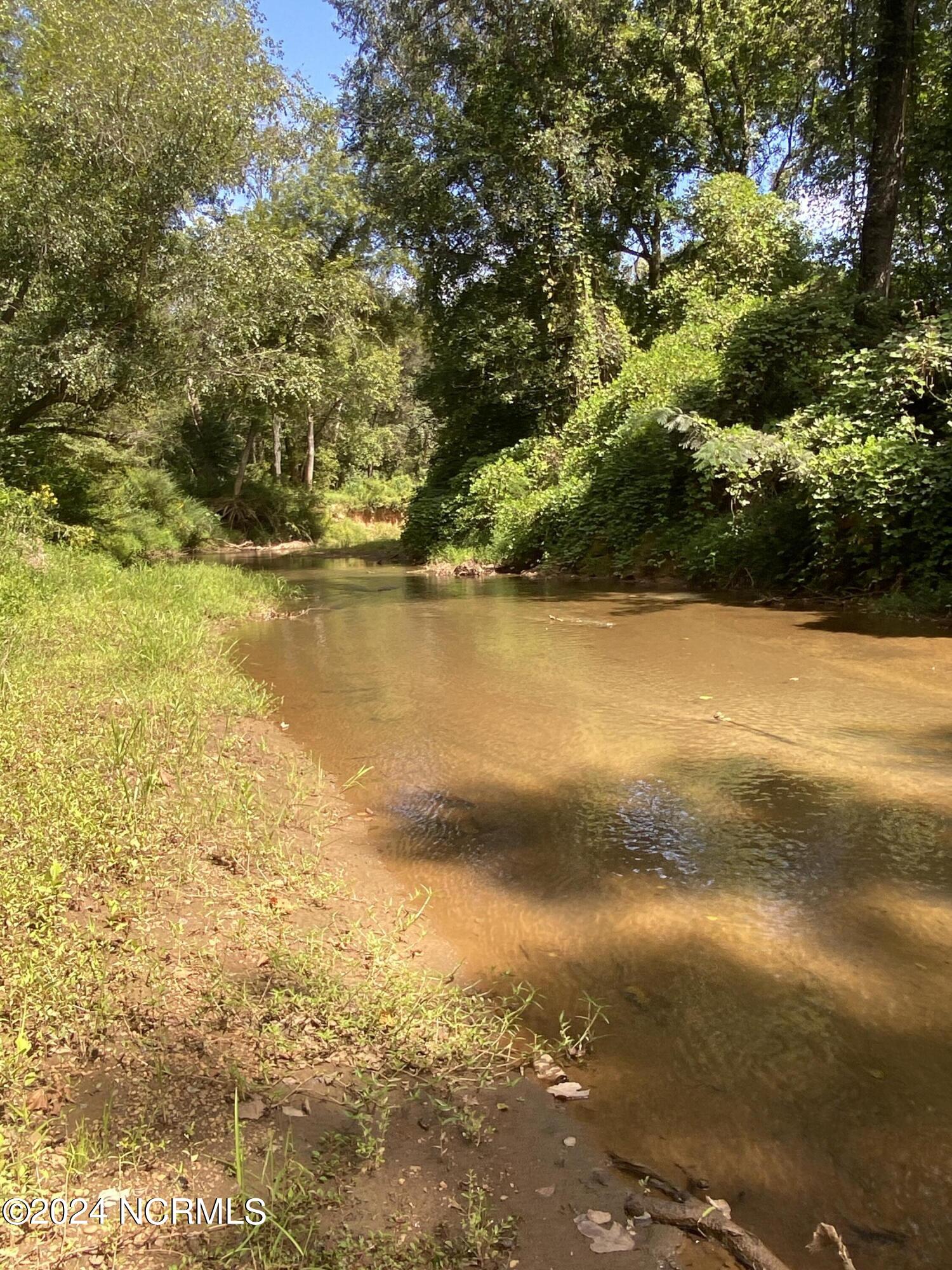 Tbd Coxe Road Tryon, NC 28782 - Photo 20 of 67 20