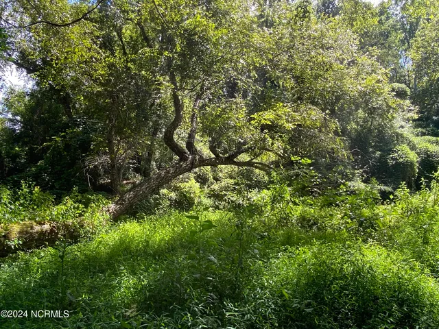 $497,000 | Tbd Coxe Road, Tryon, NC 28782