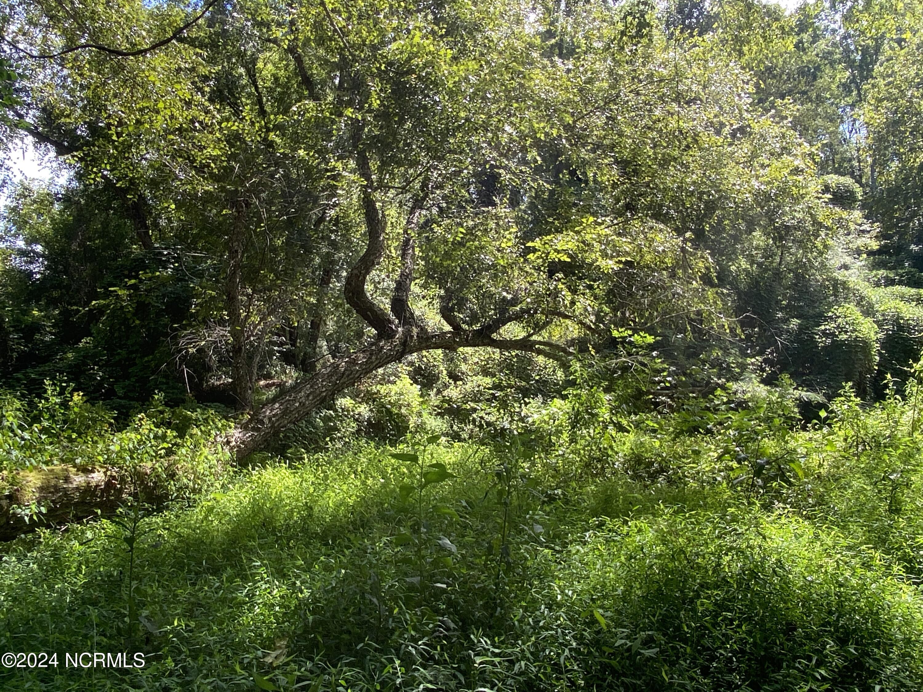 Tbd Coxe Road Tryon, NC 28782 - Photo 22 of 67 22