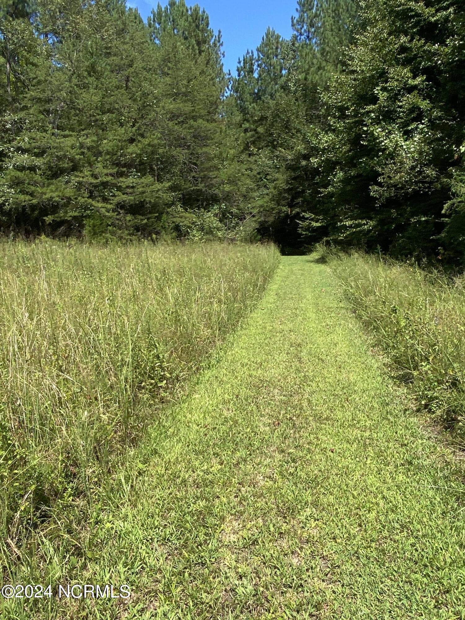 Tbd Coxe Road Tryon, NC 28782 - Photo 23 of 67 23
