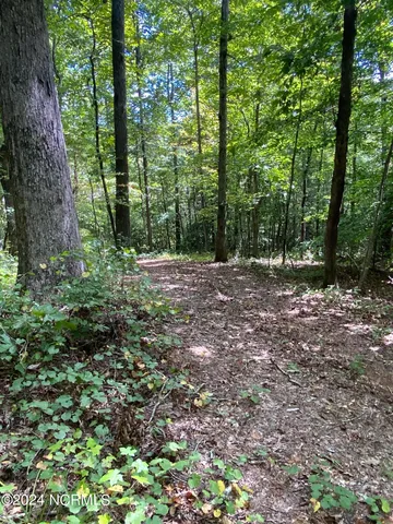 $497,000 | Tbd Coxe Road, Tryon, NC 28782