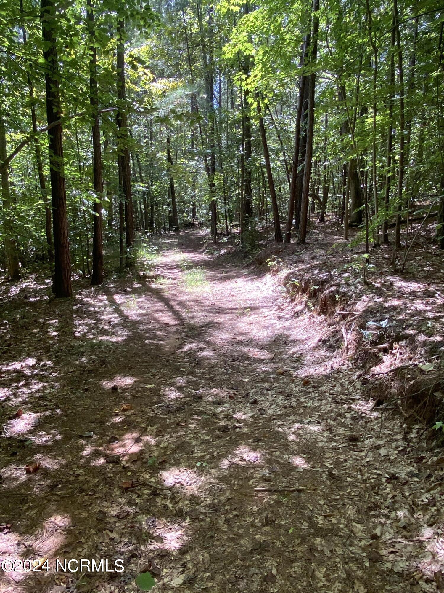 Tbd Coxe Road Tryon, NC 28782 - Photo 26 of 67 26