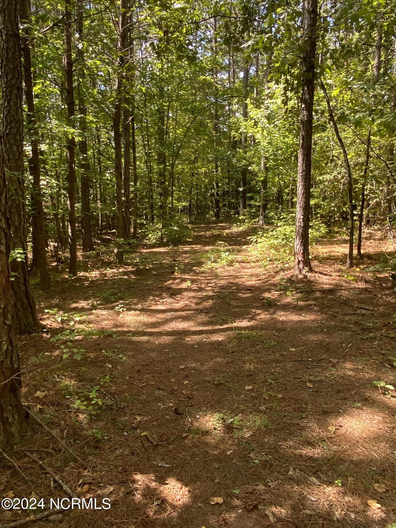 Tbd Coxe Road Tryon, NC 28782 - Photo 27 of 67 27