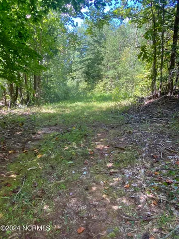 $497,000 | Tbd Coxe Road, Tryon, NC 28782