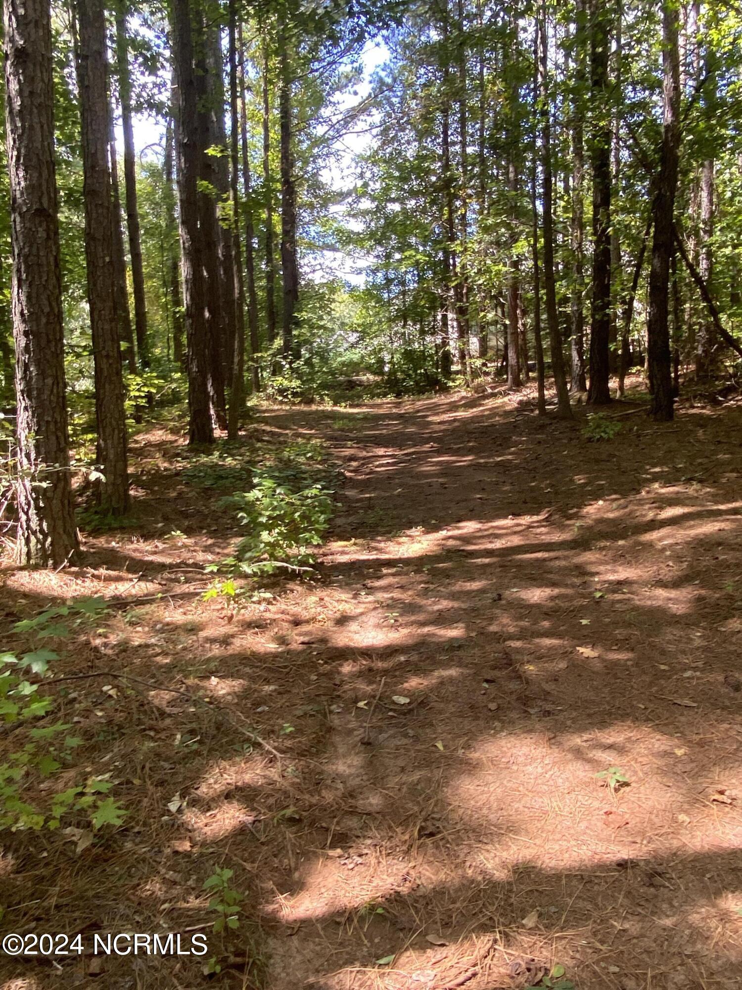 Tbd Coxe Road Tryon, NC 28782 - Photo 29 of 67 29