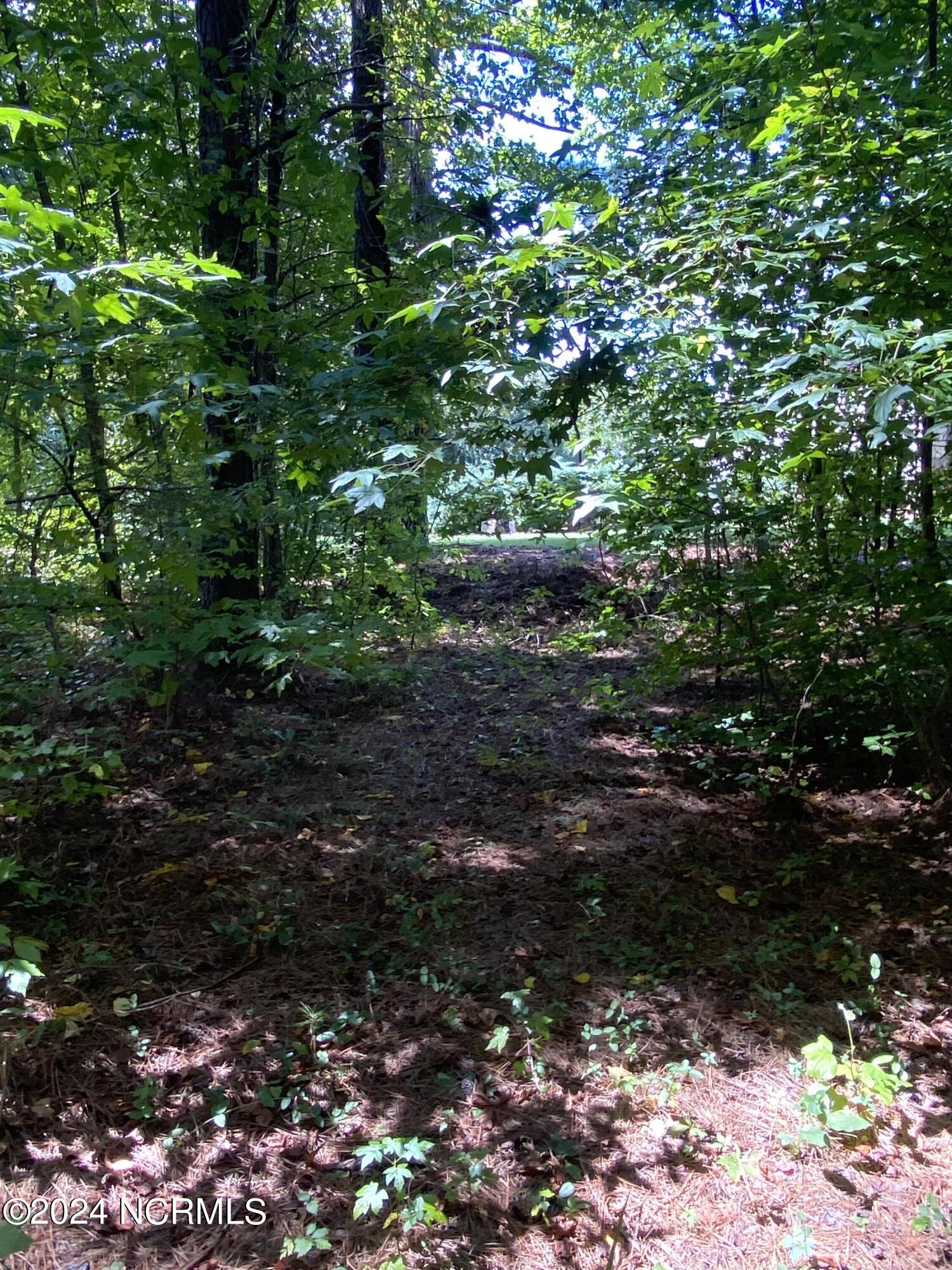 Tbd Coxe Road Tryon, NC 28782 - Photo 30 of 67 30