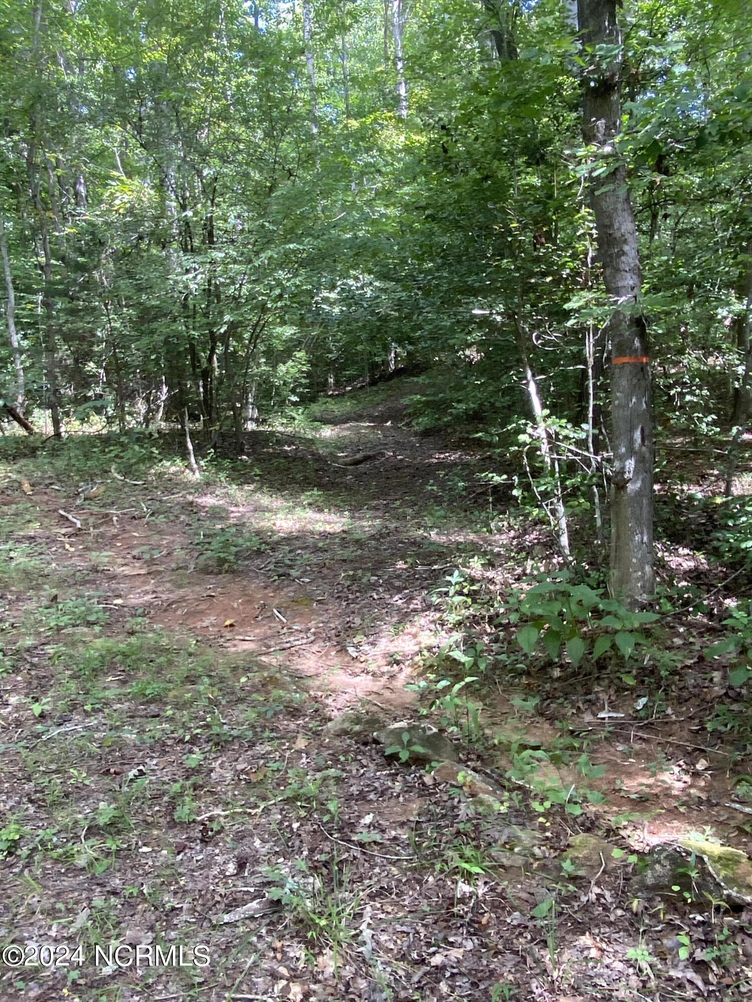 Tbd Coxe Road Tryon, NC 28782 - Photo 36 of 67 36