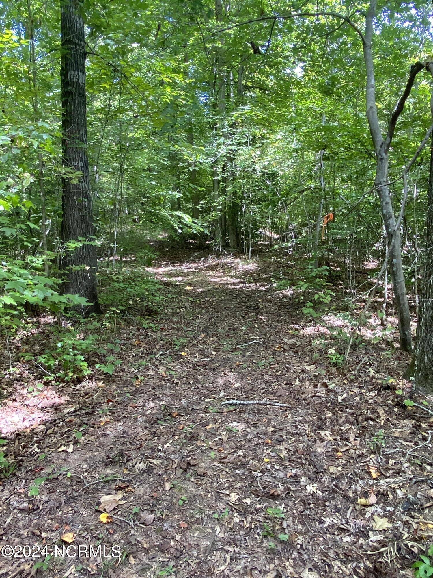 Tbd Coxe Road Tryon, NC 28782 - Photo 37 of 67 37