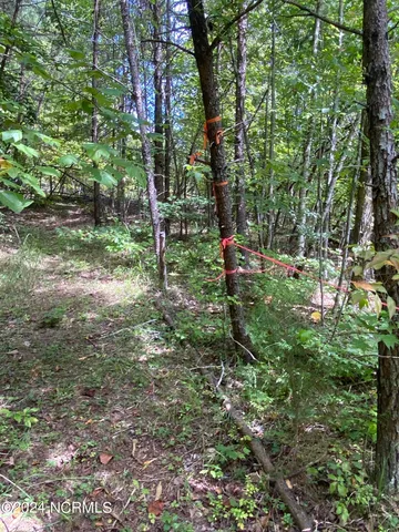 $497,000 | Tbd Coxe Road, Tryon, NC 28782