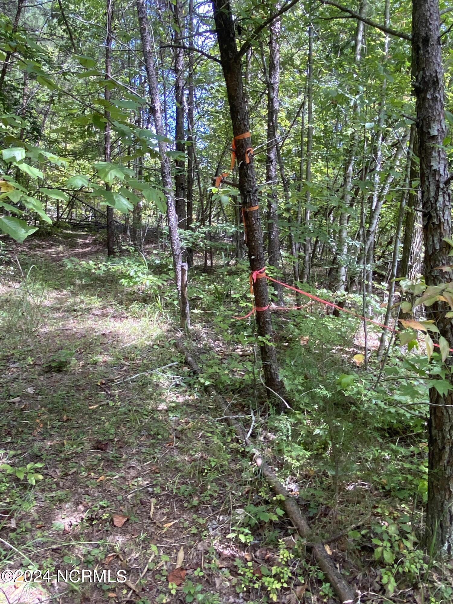 Tbd Coxe Road Tryon, NC 28782 - Photo 39 of 67 39