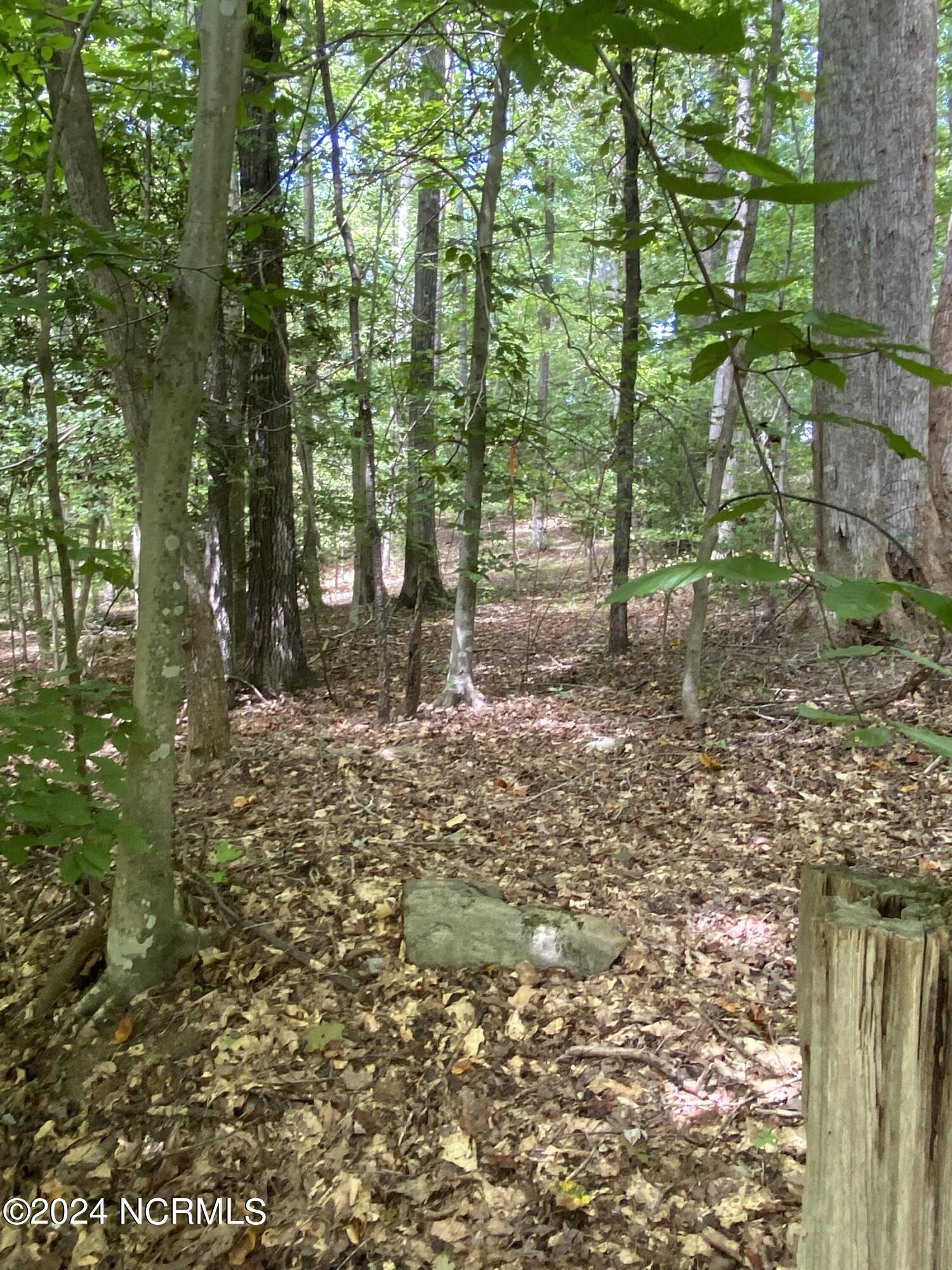 Tbd Coxe Road Tryon, NC 28782 - Photo 40 of 67 40