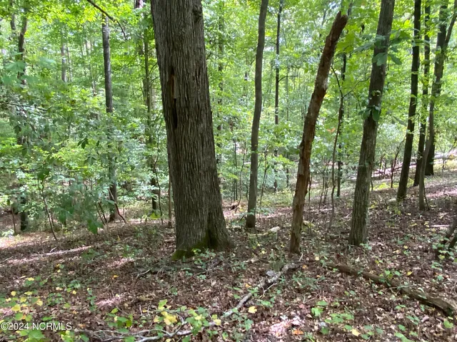 $497,000 | Tbd Coxe Road, Tryon, NC 28782