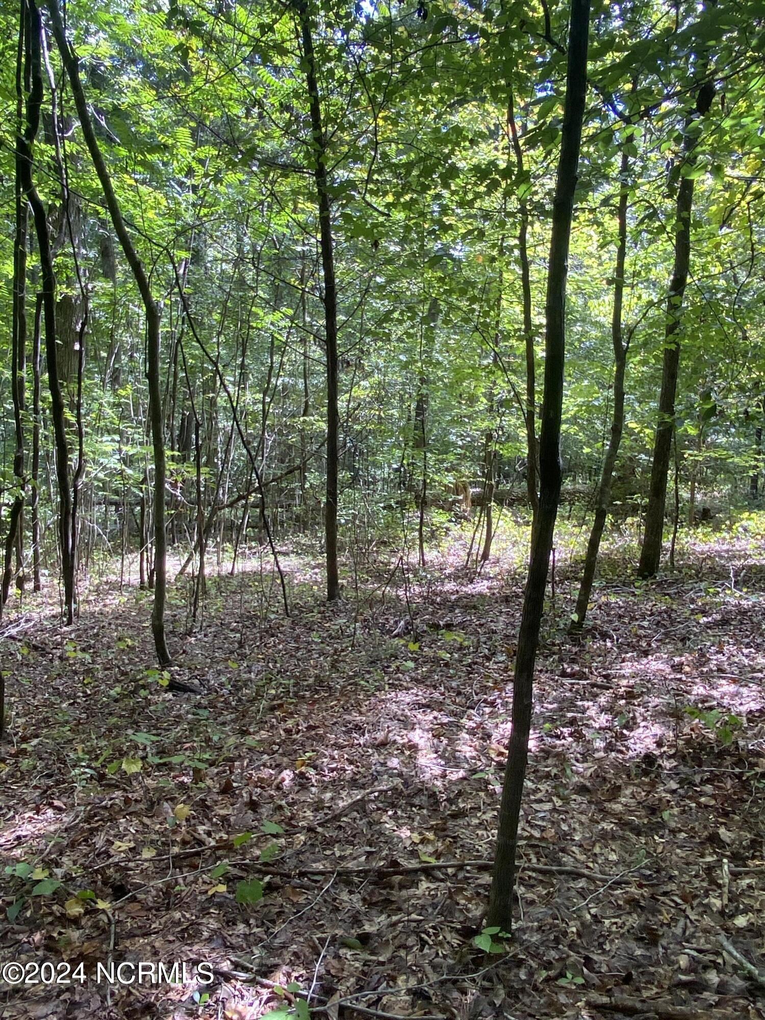 Tbd Coxe Road Tryon, NC 28782 - Photo 43 of 67 43