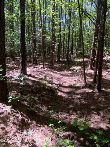 $497,000 | Tbd Coxe Road, Tryon, NC 28782