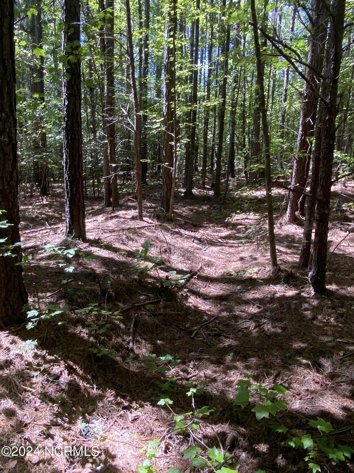 Tbd Coxe Road Tryon, NC 28782 - Photo 44 of 67 44