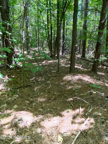 $497,000 | Tbd Coxe Road, Tryon, NC 28782