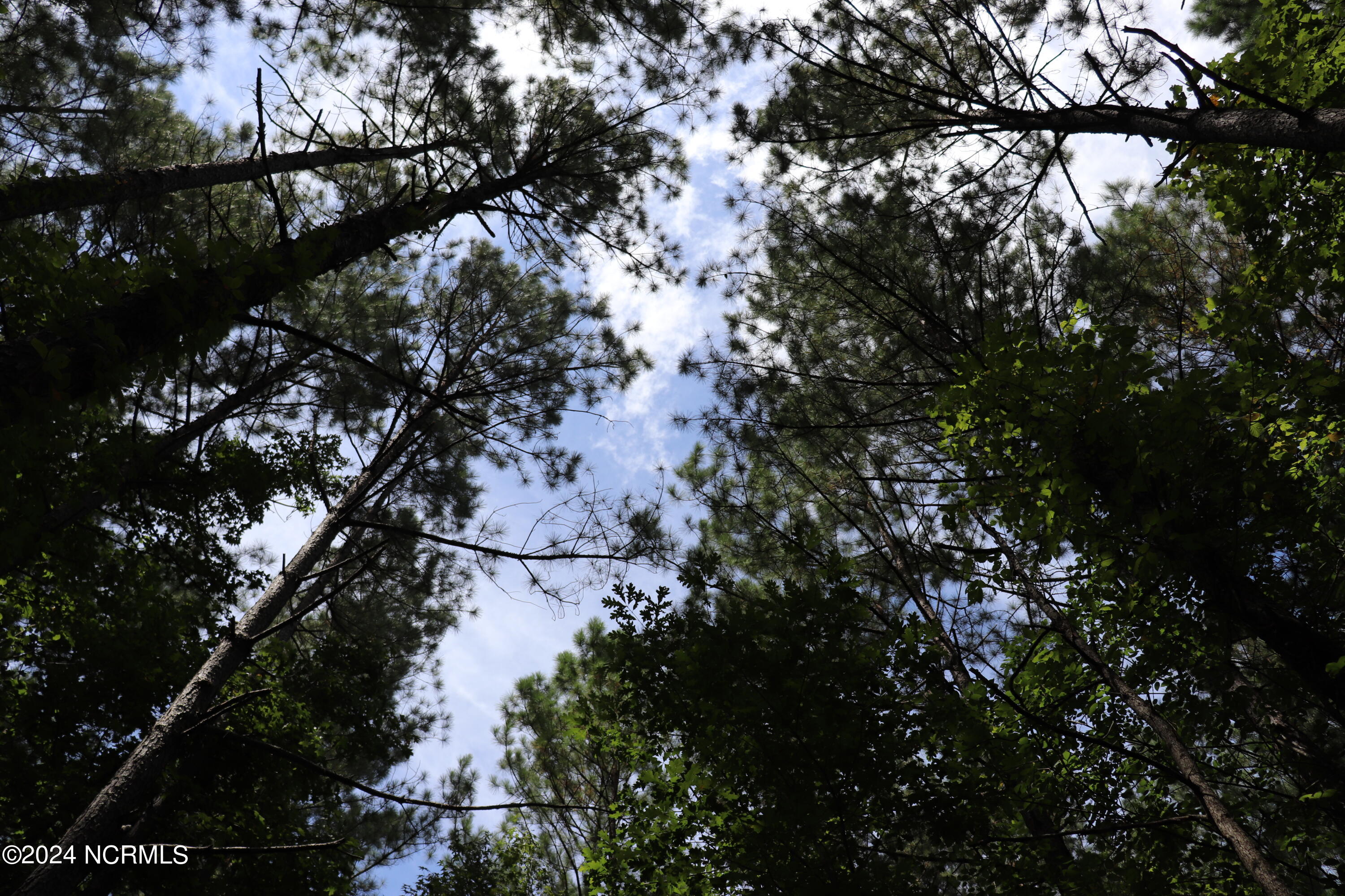 Tbd Coxe Road Tryon, NC 28782 - Photo 46 of 67 47