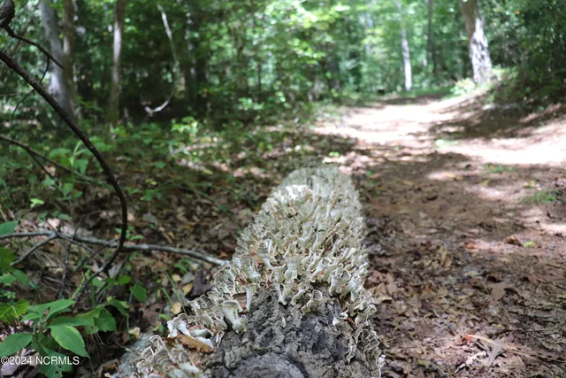 $497,000 | Tbd Coxe Road, Tryon, NC 28782