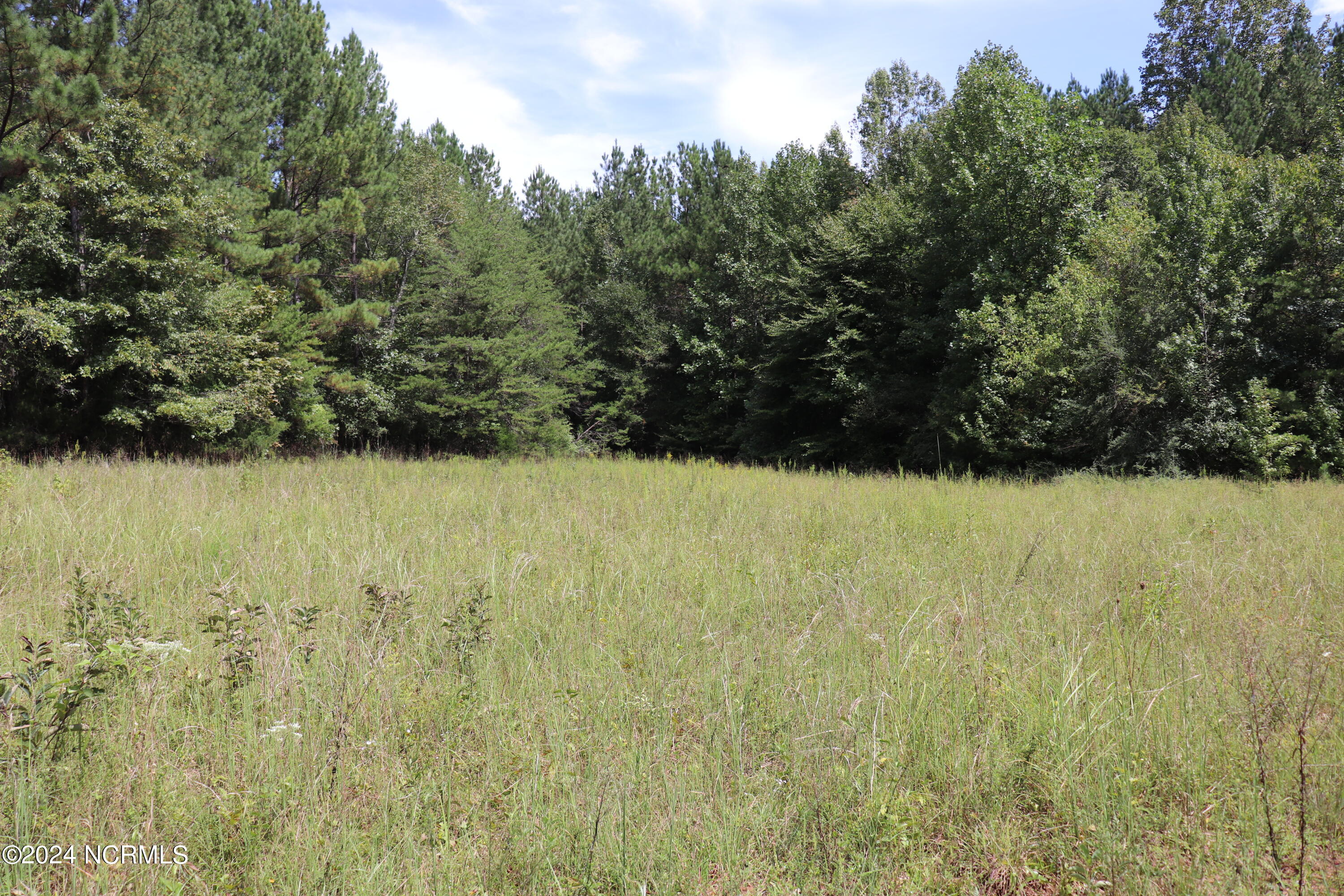 Tbd Coxe Road Tryon, NC 28782 - Photo 48 of 67 49