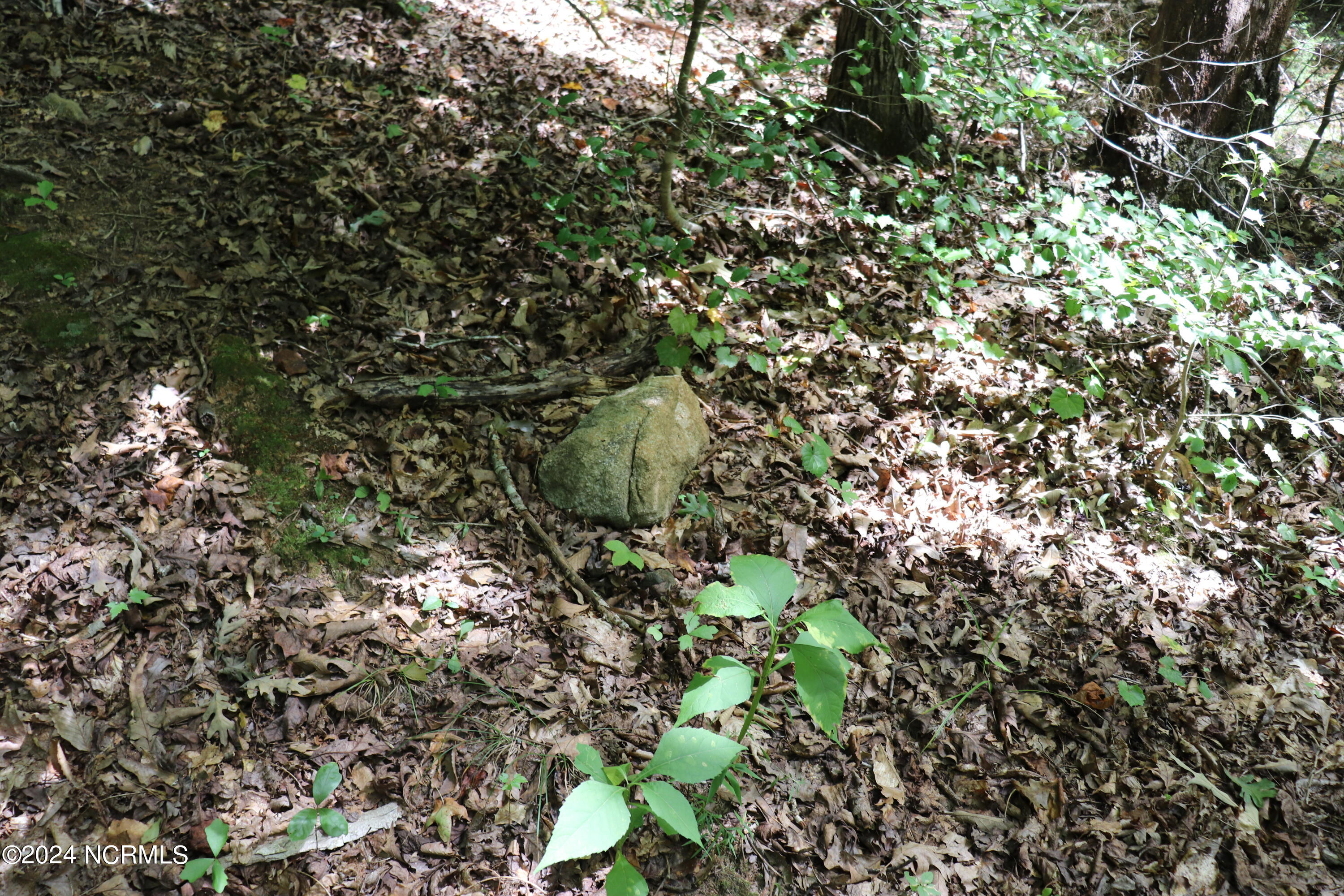 Tbd Coxe Road Tryon, NC 28782 - Photo 50 of 67 51