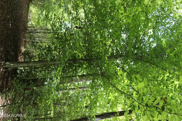 $497,000 | Tbd Coxe Road, Tryon, NC 28782