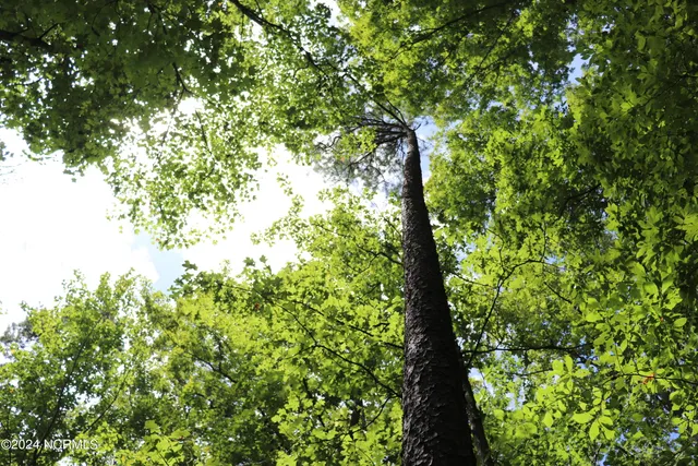 $497,000 | Tbd Coxe Road, Tryon, NC 28782